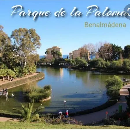 Daire Estudio Delicia 2